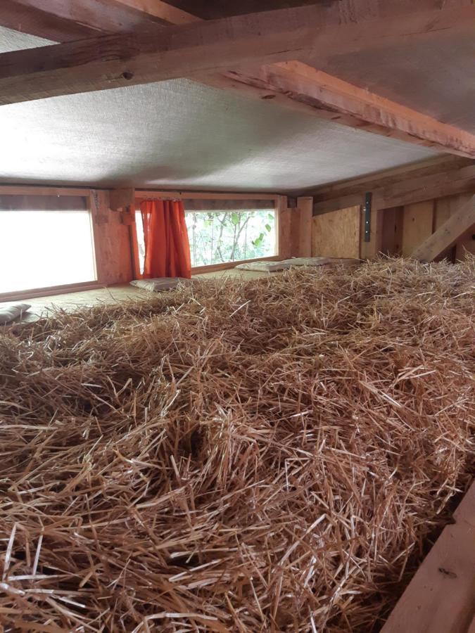 La Ferme Du Bonheur - Chez L'Gaby Hotel Porrentruy Bagian luar foto