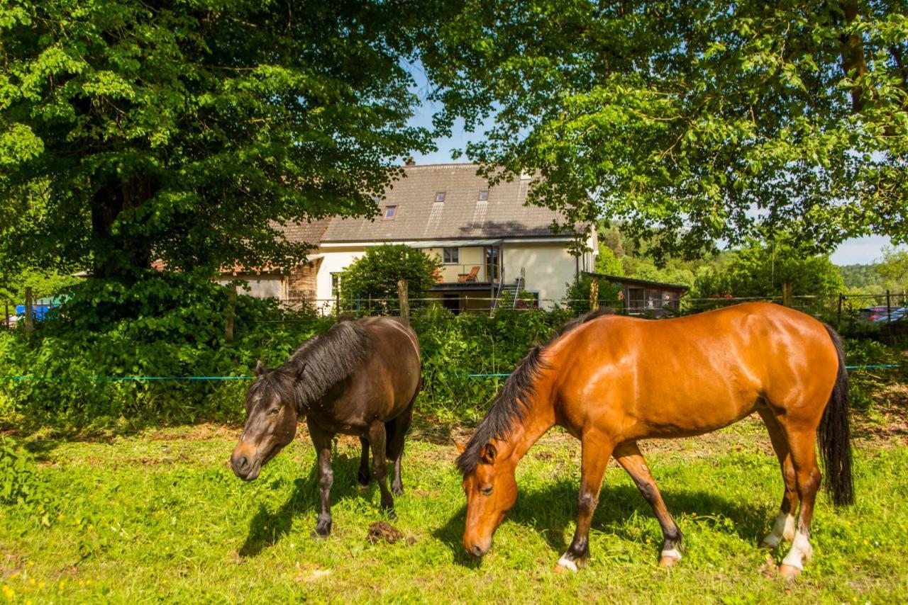 La Ferme Du Bonheur - Chez L'Gaby Hotel Porrentruy Bagian luar foto