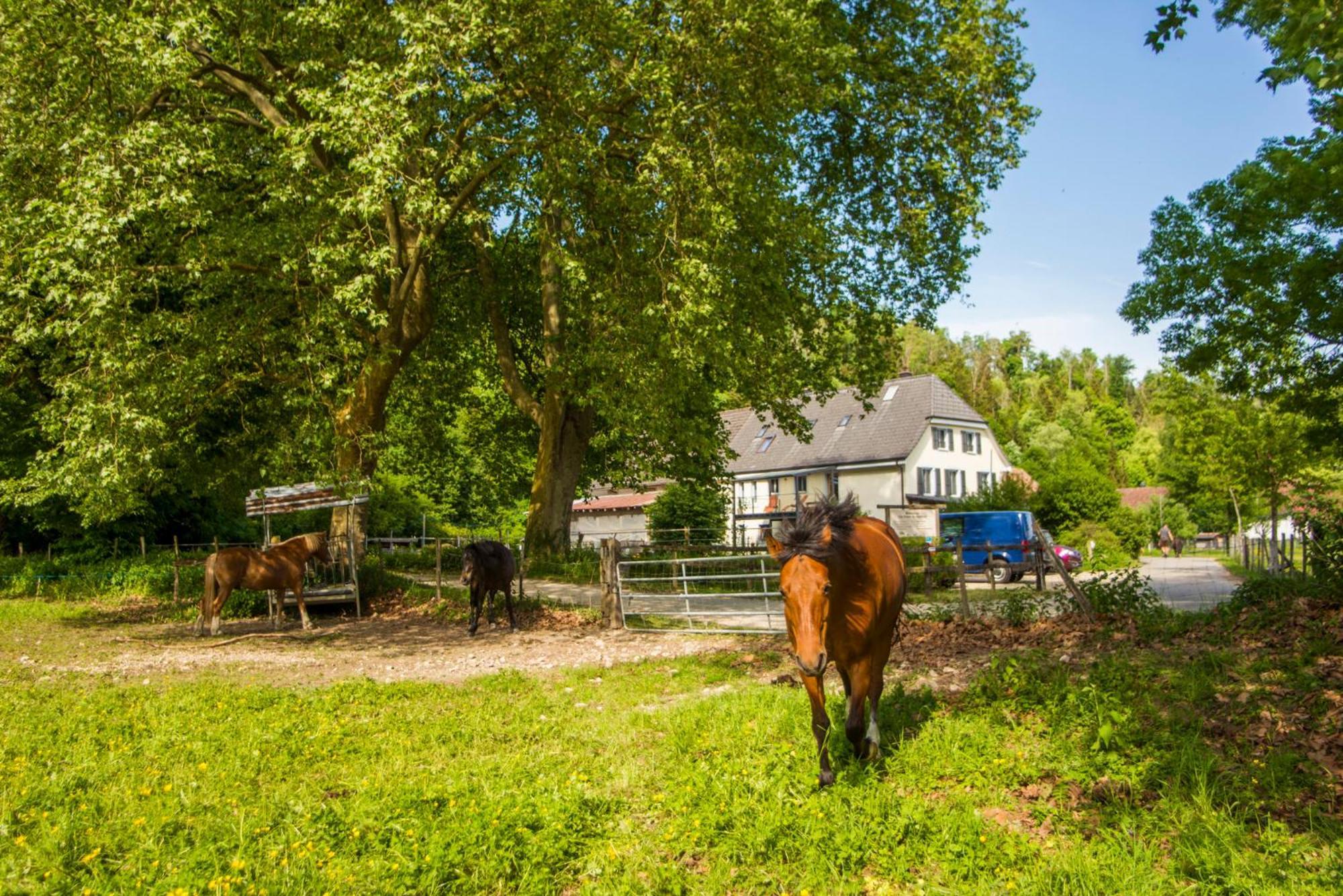 La Ferme Du Bonheur - Chez L'Gaby Hotel Porrentruy Bagian luar foto